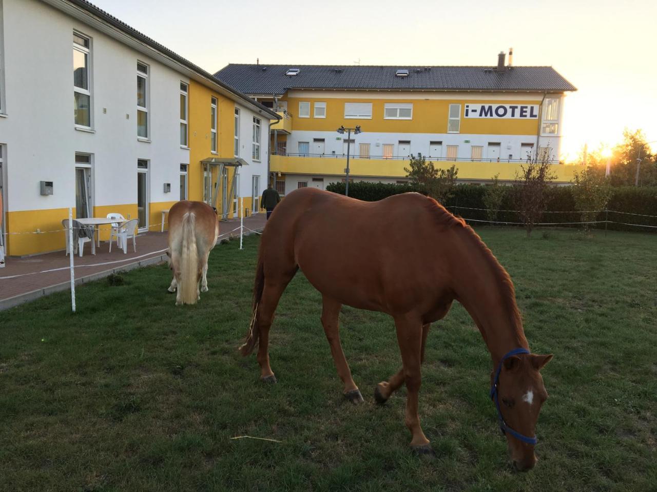 I-Motel Obertshausen Exteriör bild